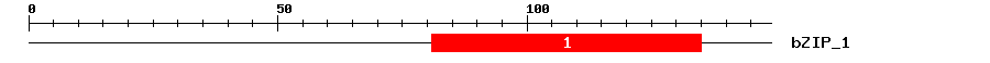 Signature Domain
