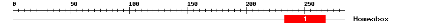 Signature Domain