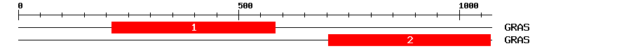 Signature Domain