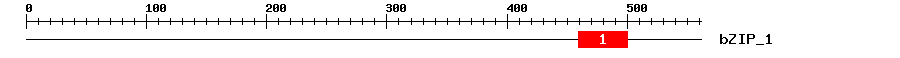 Signature Domain