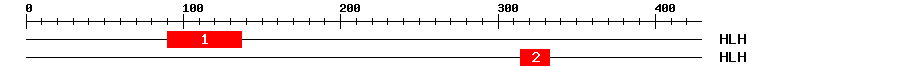 Signature Domain