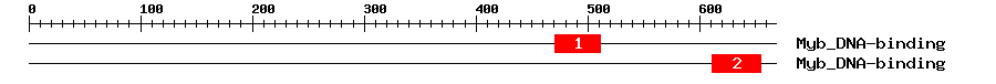 Signature Domain