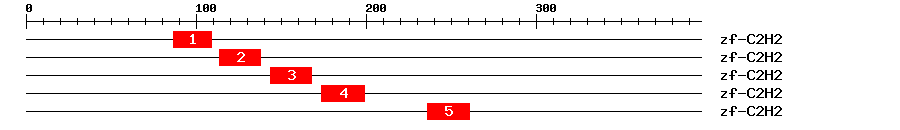 Signature Domain