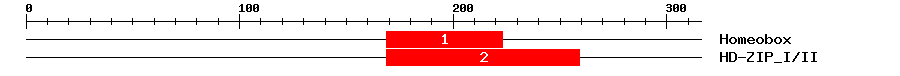 Signature Domain