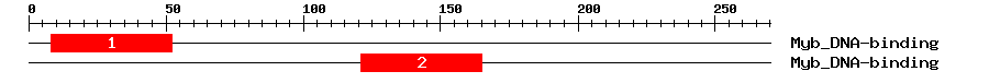 Signature Domain