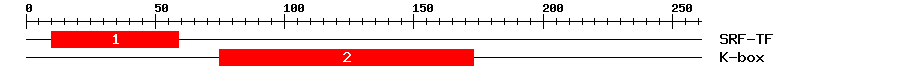 Signature Domain