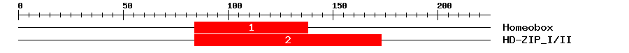 Signature Domain
