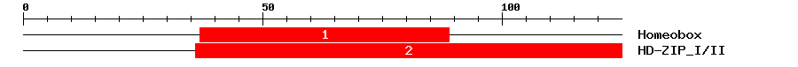 Signature Domain