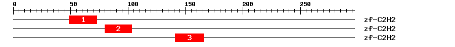 Signature Domain