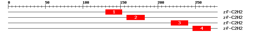 Signature Domain
