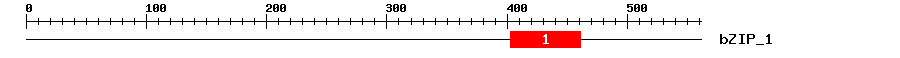 Signature Domain