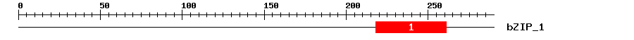 Signature Domain