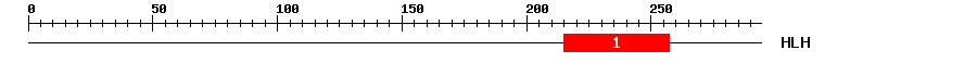 Signature Domain