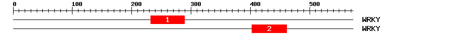 Signature Domain