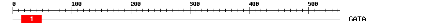 Signature Domain