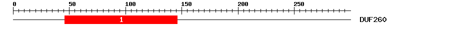 Signature Domain