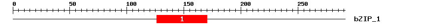 Signature Domain