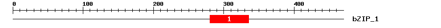 Signature Domain