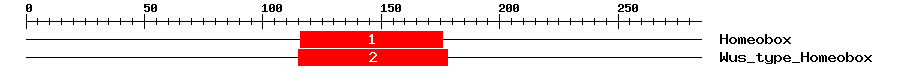 Signature Domain