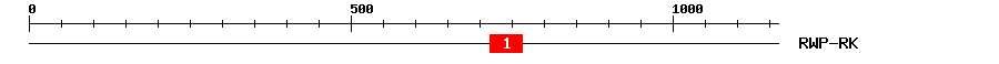 Signature Domain