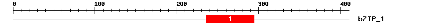 Signature Domain