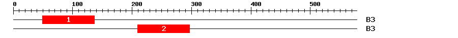 Signature Domain