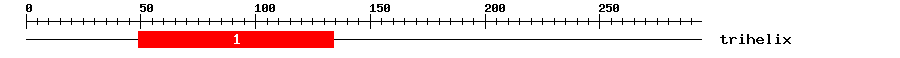 Signature Domain