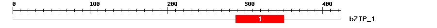 Signature Domain