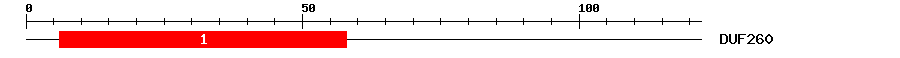 Signature Domain