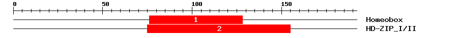 Signature Domain