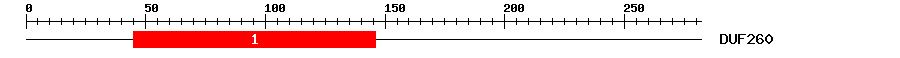 Signature Domain