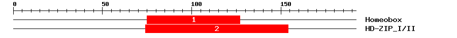 Signature Domain