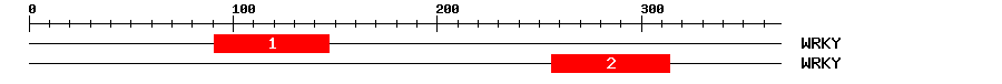 Signature Domain