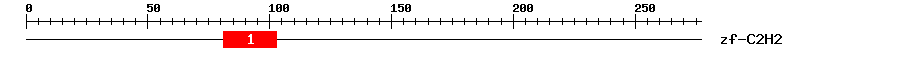 Signature Domain