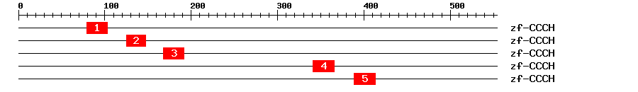 Signature Domain