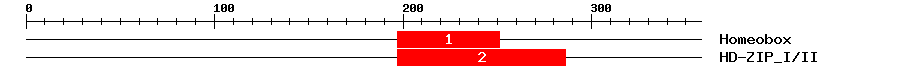 Signature Domain