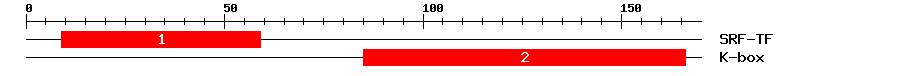 Signature Domain