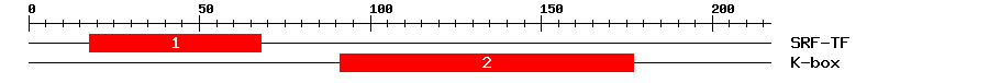Signature Domain