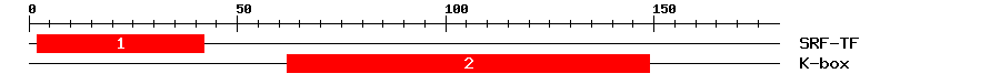 Signature Domain