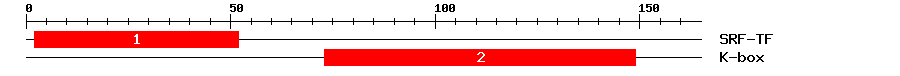 Signature Domain