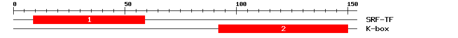 Signature Domain