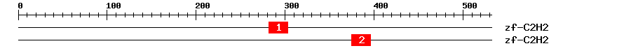 Signature Domain