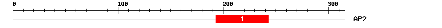 Signature Domain