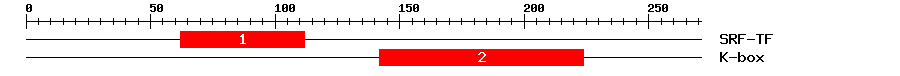 Signature Domain