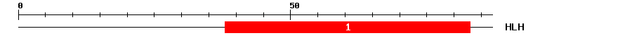 Signature Domain