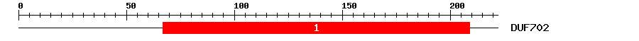 Signature Domain