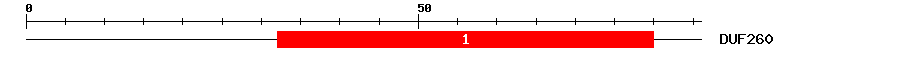 Signature Domain