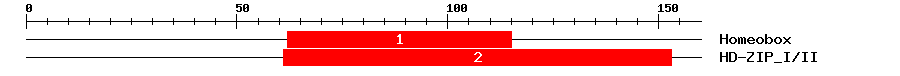 Signature Domain