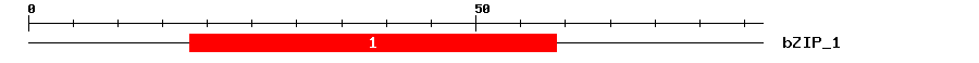 Signature Domain