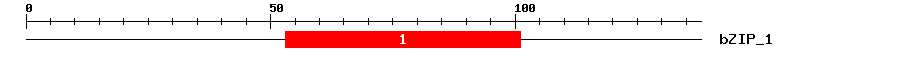 Signature Domain